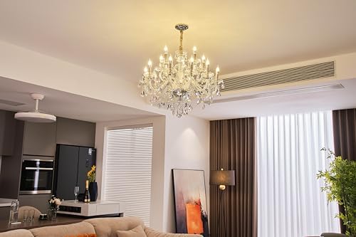 Clear 15 Light Crystal Chandelier with LED Bulbs