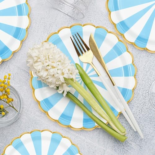 96PCS Blue Paper Plates and Napkins Set for 24 Guests