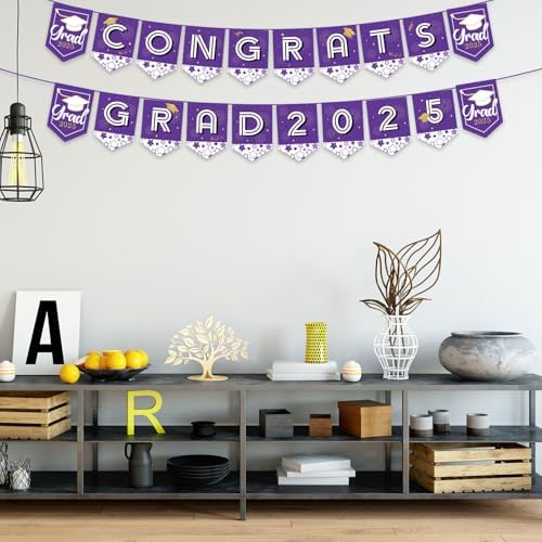 2025 Graduation Decorations Set with Balloons and Banners