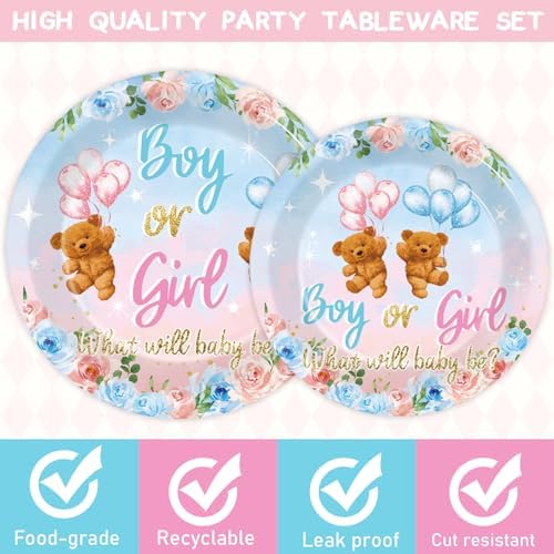 Teddy Bear Gender Reveal Tableware Set for Baby Shower Parties