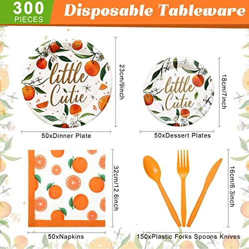 300 Pcs Little Cutie Birthday Party Plates Napkins Set