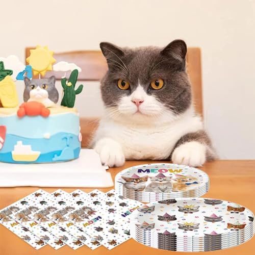 BAIFNEZ Cat Birthday Plates Napkins Set